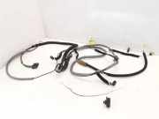 Kabelbaum RENAULT SCÉNIC I (JA0/1_) 2.0 16V 7700287750