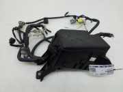 Sicherungskasten TOYOTA RAV 4 III (_A3_) 2.2 D 4WD (ALA30_) 8274242030