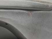 Türverkleidung rechts vorne Renault Scenic IV (J9) 809006510R