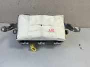 Airbag Beifahrer Lexus NX 1 () TG10B01002