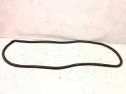 Türgummi links vorne VW Golf V Plus (5M, 521)