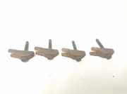 Dichtung für Düsenhalter Kia Sportage 3 (SL)