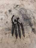 Einspritzventil Set VW PASSAT Variant B3/B4 (3A5, 35I) 1.9 TDI