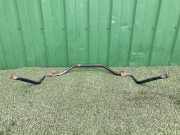 Stabilisator vorne Renault Master III Kasten (FV) 546110037R