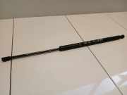 Heckklappendämpfer rechts BMW X5 (E53)