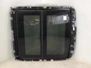Dach BMW X6(G06) (G06, F96) M 9880242