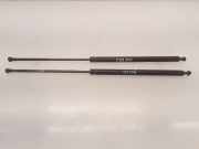 Heckklappe Gasdruckfeder rechts RENAULT KANGOO (KC0/1_) 1.9 dTi (KC0U) 2307700