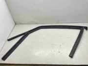 Türgummi links vorne Renault Espace V (JR) 803319960R