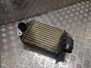 Ladeluftkühler VW GOLF IV (1J1) 1.9 TDI 1575620
