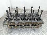 Motorkopf OPEL INSIGNIA A (G09) 2.0 CDTI (68) 55571949