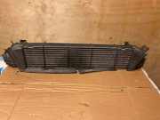 Ladeluftkühler Mercedes-Benz C-Klasse (W203)