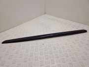 Zierleiste Windschutzscheibe Frontscheibe CITROËN DS5 2.0 BlueHDi 180 9687248080