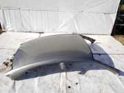 Dach LEXUS IS III (_E3_) 300h (AVE30_)