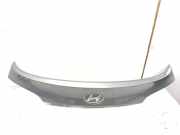 Gehäuse für Kennzeichenleuchte Hyundai iX35 (LM) 873712S000