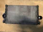 Ladeluftkühler VW SHARAN (7M8, 7M9, 7M6) 2.0 TDI 7M3145804