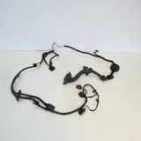 Türverkabelung hinten rechts AUDI A8 D3 (4E2, 4E8) 3.0 TDI quattro 4E0971687DB