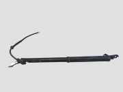 Heckklappe Gasdruckfeder links TOYOTA RAV 4 V (XA50) FWD LE 2.5 6892042020