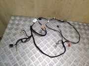 Kabel Tür Seat Exeo ST (3R) 3R0971035F