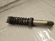 Stoßdämpfer hinten links MERCEDES-BENZ AMG GT (C190) GT (190.377) 80140A004929