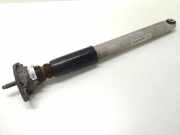 Stoßdämpfer hinten links PORSCHE PANAMERA (970) 4.8 Turbo 97033316107