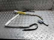 Dach SRS rechts BMW X5 (E53) 3.0 d 85826715807P