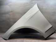 Kotflügel vorne links MERCEDES-BENZ E T-Model (S212) E 250 CDI / BlueTEC 4-matic (212.282, 212.297)