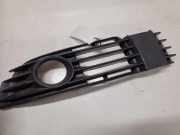 Gitter vorne unten VW PASSAT B5 (3B3) 1.9 TDI