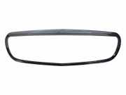 Vorderer oberer Gitter MERCEDES-BENZ S (W222, V222, X222) S 400 d (222.134, 222.034) 99981300