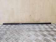 Türfensterleiste hinten links LAND ROVER DISCOVERY III (L319) 2.7 TD 4x4