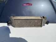 Kühlerluftumlenker FORD TRANSIT Furgon (FA_ _) 2.4 TDE YC159L440BF