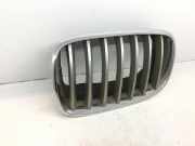 Gitter Grill vorne links BMW X5 (E70) xDrive 30 d 51137171395