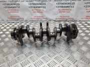 Kurbelwelle VW PASSAT B7 ALLTRACK (365) 2.0 TDI