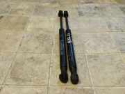 Heckklappe Gasdruckfeder links AUDI A6 Avant (4B5, C5) 2.5 TDI 2319500