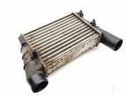Ladeluftkühler AUDI A4 (8D2, B5) 1.9 TDI 058145805A