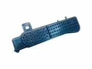 Aktivkohlefilter für Tankentlüftung Citroen C4 II (B7) 9829656180