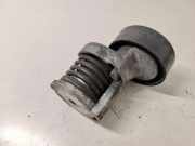 Riemenspanner AUDI A4 Cabrio (8H7, B6, 8HE, B7) 2.0 TDI 038903315AH