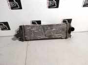 Ladeluftkühler NISSAN PRIMASTAR Furgon (X83) 2.5 dCi 115 93854162
