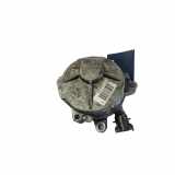 Vakuumpumpe RENAULT MEGANE II Coupé-Cabriolet (EM0/1_) 2.0 dCi 8200376925