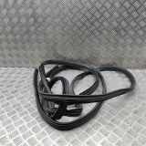 Türgummi links hinten Opel Movano B Kasten (X62) 95508344