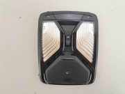 Innenleuchte BMW X6 (G06, F96) 5B32483