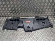 Anzeigetafel Rahmen MERCEDES-BENZ E Cabrio (A207) E 220 BlueTEC (207.401) A2075000155