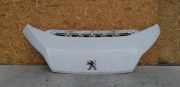 Motorhaube Peugeot Boxer Bus ()