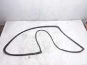 Zierleiste Windschutzscheibe Frontscheibe