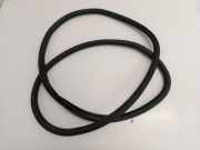 Türgummi rechts vorne Mercedes-Benz C-Klasse (W205)