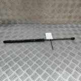 Heckklappe Gasdruckfeder links HYUNDAI KONA (SX2) EV 81830-HF010