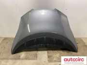 Motorhaube Nissan Leaf (ZE0) F51003NLMA