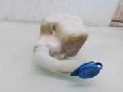 Fensterwaschtank AUDI A6 Avant (4A, C4) 2.5 TDI