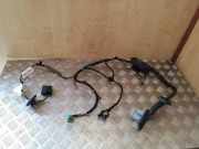 Türverkabelung hinten links LAND ROVER RANGE ROVER SPORT (L320) 3.6 D 4x4 YMM502811B