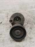 Riemenspanner RENAULT MEGANE II (BM0/1_, CM0/1_) 1.6 16V (BM0C, CM0C) 950625