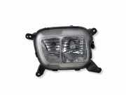 Nebelscheinwerfer links KIA SORENTO II (XM) 2.2 CRDi 4WD 922012P6